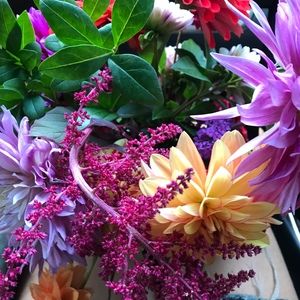 Meet your Posher, Salley